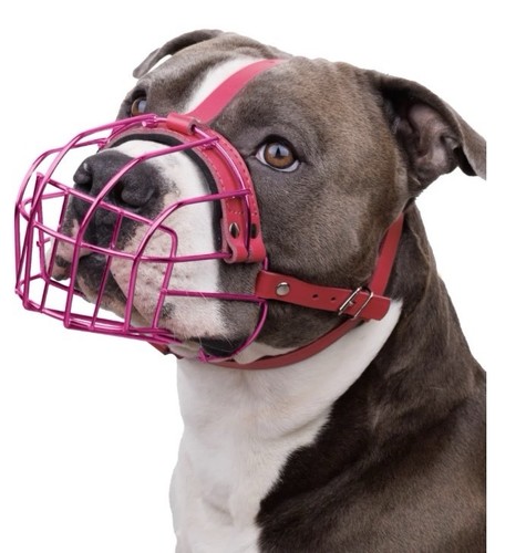 Bronzedog pitbull museruola - bronzedog,