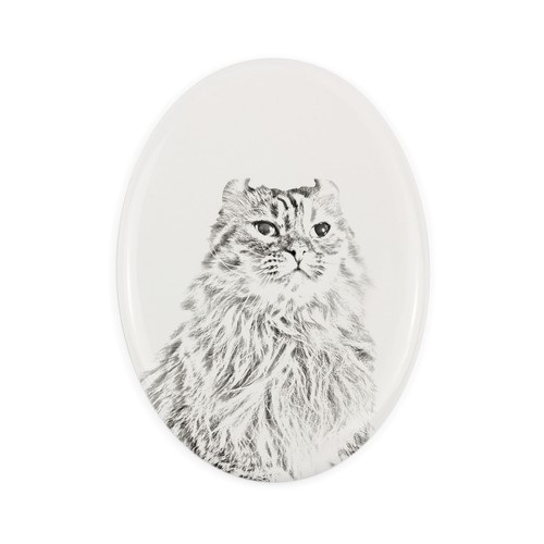 Gatto riccio americano lapide