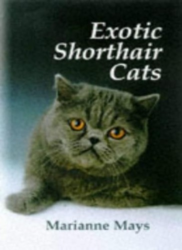 Exotic shorthair cats - shorthair, by