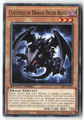 T569 cucciolo drago - cucciolo, di