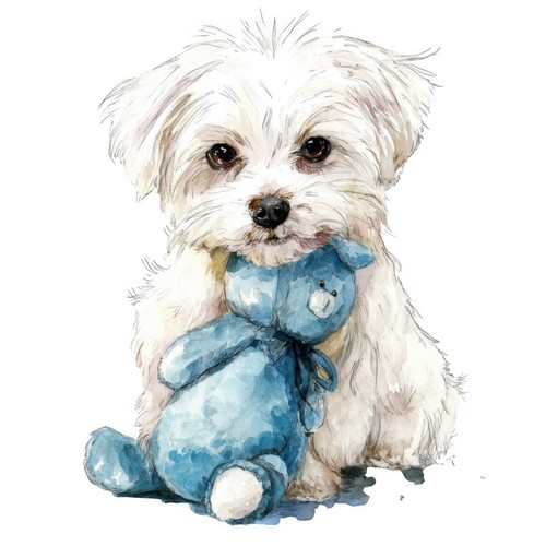 Adesivi cane maltese - adesivi,