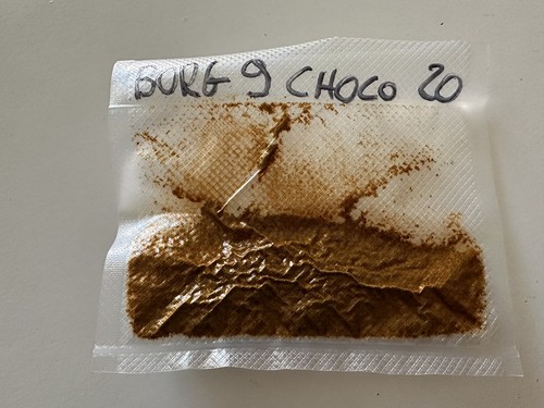 Peperoncino piccante borg - peperoncino,