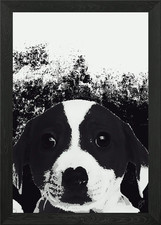 Poster arte da parete con