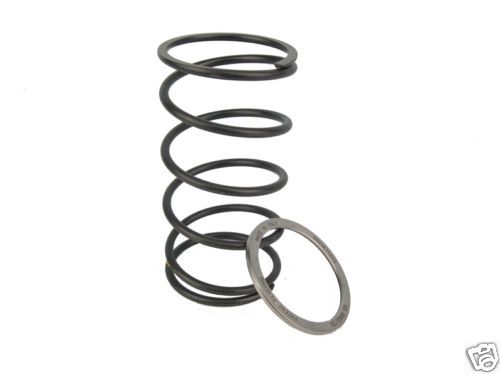 10412063 pinasco spring - e,