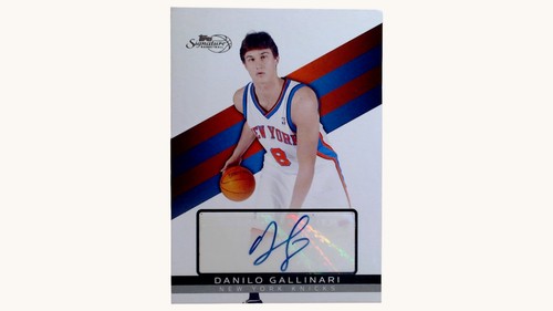 Danilo gallinari 2008 - danilo,