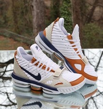 Nike LeBron 16 Air Trainer