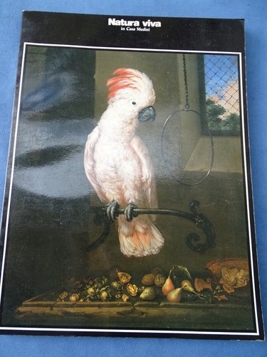 Arte pittura natura viva - arte-pittura-natura,