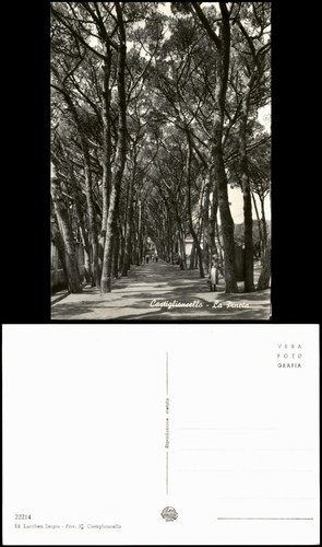 Cartolina