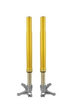 FGR252 - Forcella anteriore