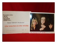 WALT DISNEY COMPANY Busta