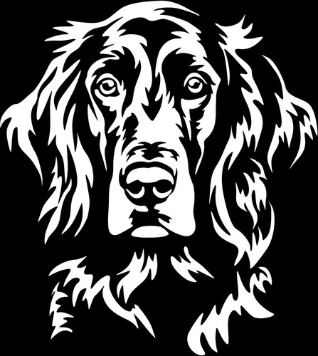 Adesivo irish setter - adesivo,
