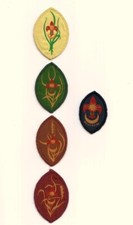Distintivi scout junior - scout,