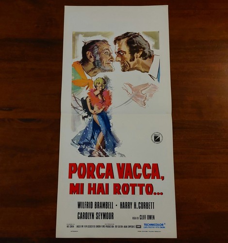 Porca vacca hai - porca, rotto