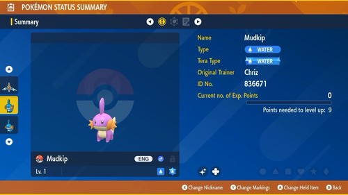 Shiny mudkip pokémon - mudkip,