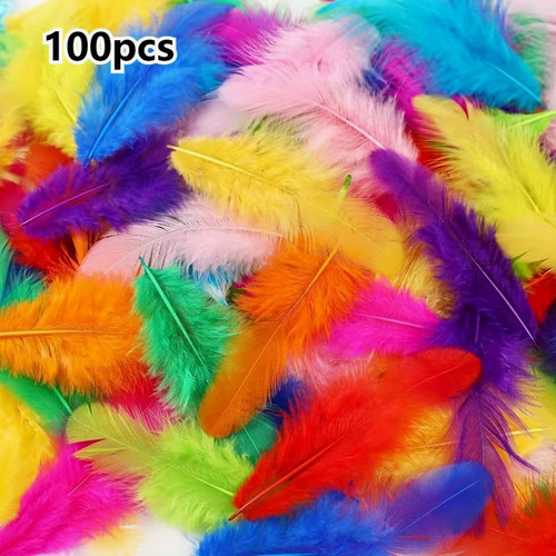 Piume artigianali 100 pezzi