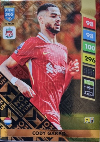 Panini fifa 365 - panini,