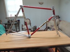 Guerciotti ALAN Sprint Frame
