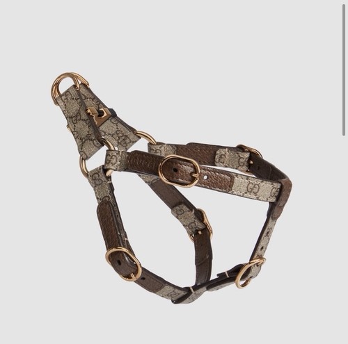 Gucci imbracatura per cani