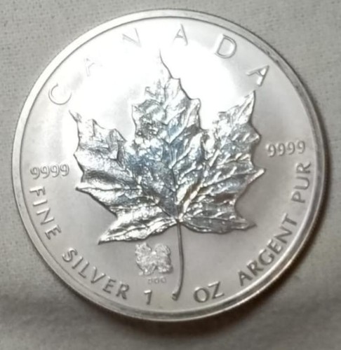 Dollari canada maple - dollari, leaf