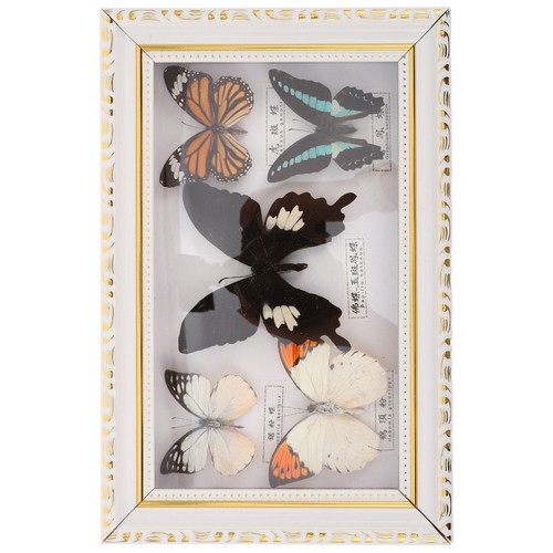 Quadro con farfalle - ,
