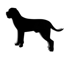 Magnete Da Frigo Cane Corso In