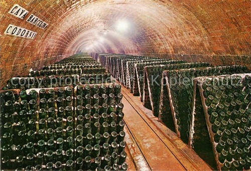 Vino cavas codorniu - cavas,