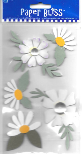Fiore fiori bianco panna - fiori,
