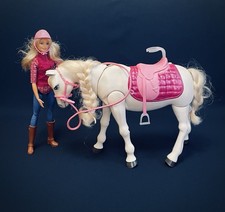 Set “Barbie Cavallo dei sogni” 