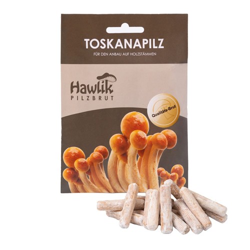 Hawlik pilzbrut i - hawlik, |