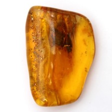 Ambre jaune Baltique – Objet