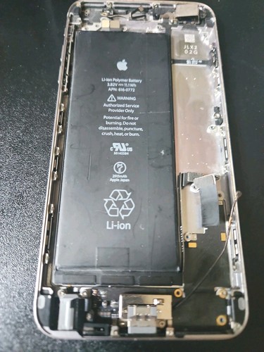 Custodia posteriore apple - posteriore,