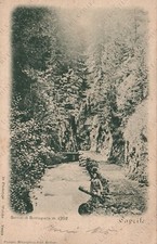 CAPRILE Serrai di Sottoguda