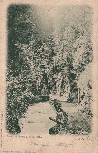 Caprile serrai sottoguda - caprile,
