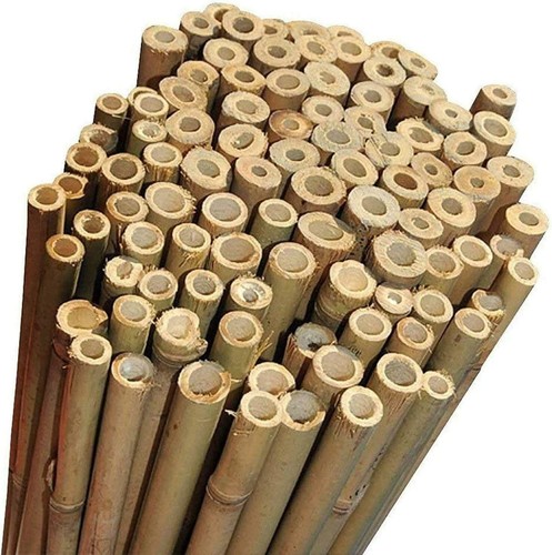 Canne bambù naturali aste - canne,