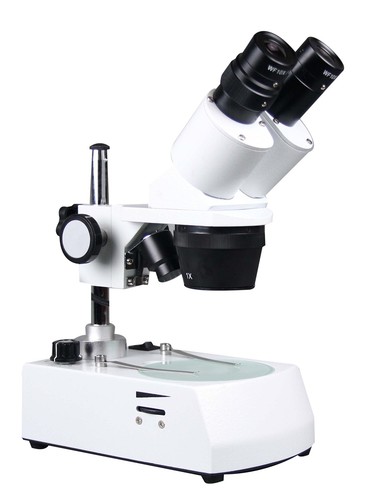 Microscopio stereo
