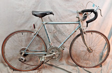 Bici da strada vintage 79' Nishiki XX-Small 47 cm acciaio inclinato ruota 24" caffè pendolare
