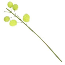  Fiori Di Finti Composizione