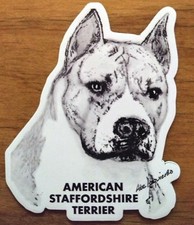 MAGNETE American STAFFORDSHIRE