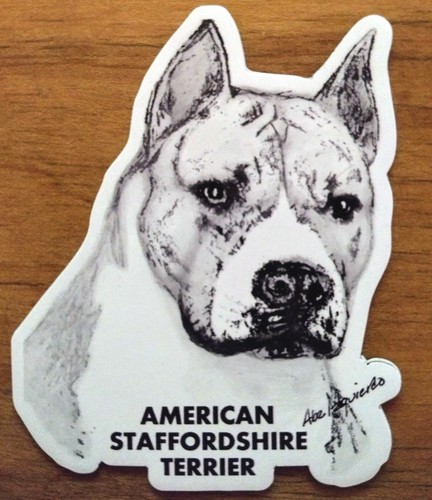 Magnete american staffordshire - magnete,