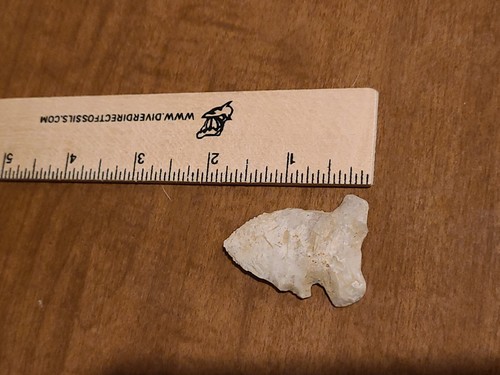Archaic side notch - ",