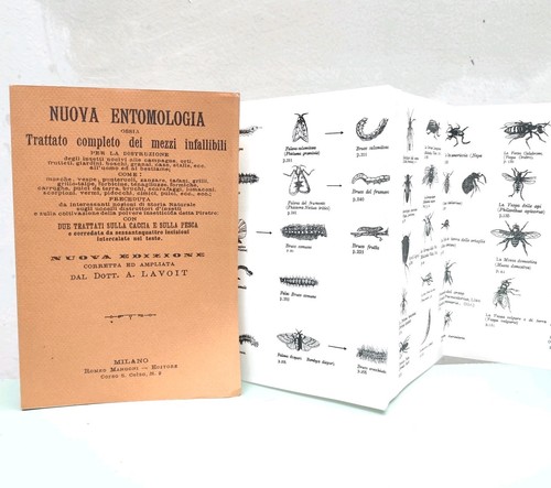 Nuova entomologia 1896 - entomologia,