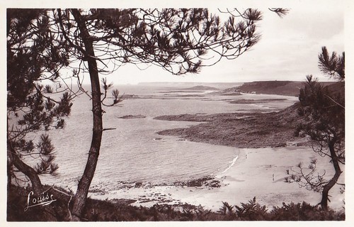 Unposted vintage postcard - vintage, c
