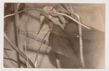 La mano di un uomo che nutre