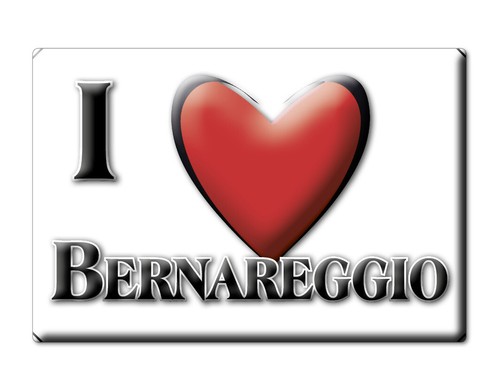 Calamita bernareggio - calamita,