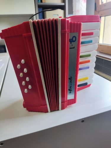 Fisarmonica giocattolo marca - fisarmonica,
