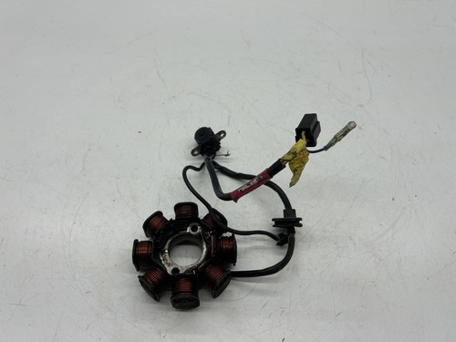 Statore alternatore magnete - statore,