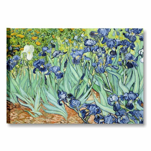 Van gogh iris quadro stampa - van,