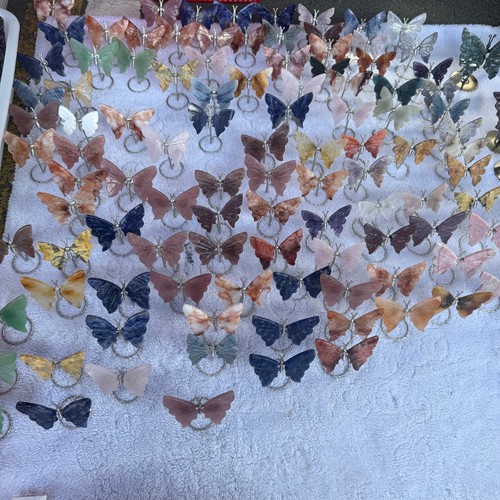 Coppia farfalla - coppia,