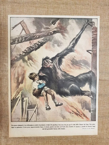 Retrocopertina illustrazione - retrocopertina,