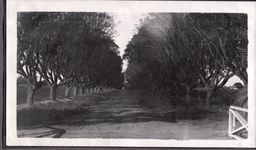 Fotografia vintage kearney - fotografia,